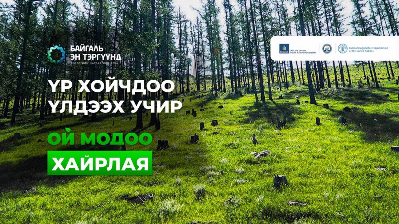 “ЦЭНХЭР АЛТ, ОЙ МОДОО ХАЙРЛАЯ” ХАМГААЛЛЫН АРГА ХЭМЖЭЭГ УЛС ОРОН ДАЯАР ЗОХИОН БАЙГУУЛНА