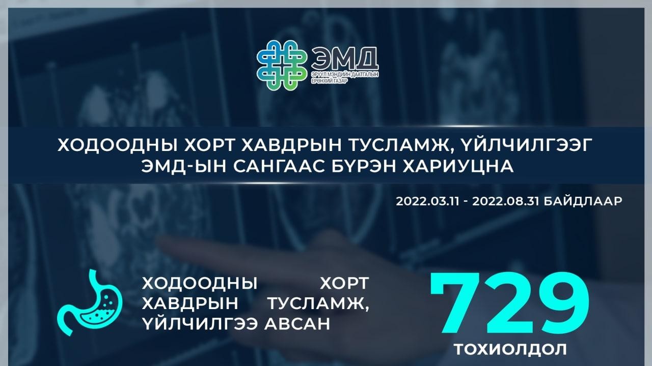 ХОДООДНЫ ХОРТ ХАВДРЫН ТУСЛАМЖ, ҮЙЛЧИЛГЭЭГ ЭМД-ЫН САНГААС БҮРЭН ХАРИУЦНА