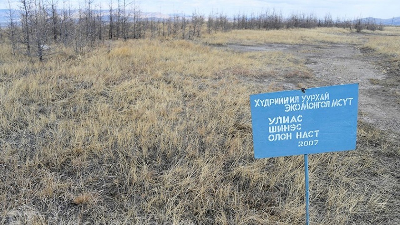 Эрдэнэт үйлдвэр 32.6 га талбайд нөхөн сэргээлт хийжээ