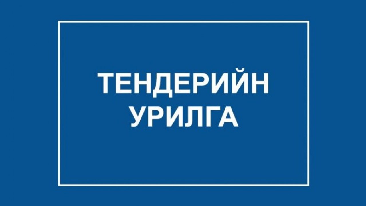 ТӨРИЙН ӨӨРИЙН ӨМЧИЙН ЭД ХӨРӨНГИЙН ТҮРЭЭСЛЭГЧИЙГ СОНГОН ШАЛГАРУУЛАХ УРИЛГА